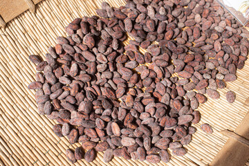 Organic cocoa beans sun drying on a farm.
