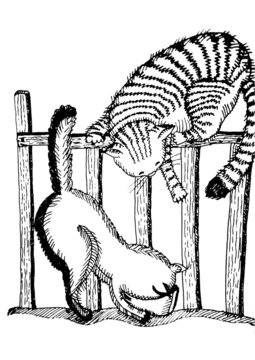 Illustration, graphic hand drawing about cats walking in the yard