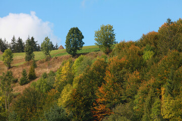 autumn in the mountains