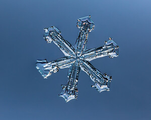 Snowflake on smooth gradient background. Macro photo of real snow crystal on glass surface. This is...