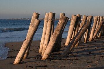 Piles against erosion. Pieux contre l'érosion. Atlantique, France