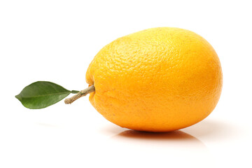 Orange fruit on the white background