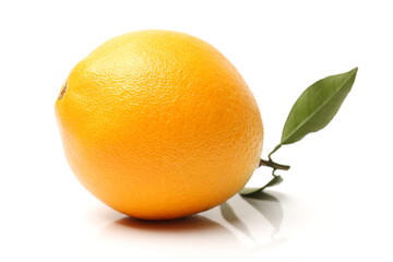 Orange fruit on the white background
