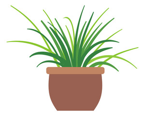 Spider plant icon. Houseplant in pot. Green home decoration