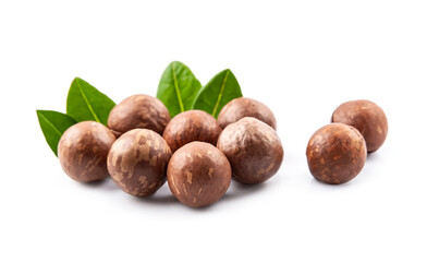 Macadamia nuts with leaves