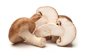 Shiitake mushroom on the White background 