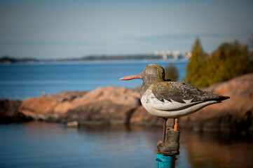 View of Suomenlinna Island in Helsinki