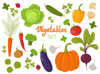 Fresh vegetables set of illustrations.