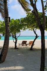 View of the Indian Ocean coast with trees, white sand, on which there are sun loungers under the trees, azure water in the Maldives
