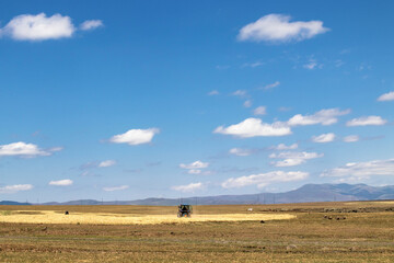Obraz premium landscape fields with sky and clouds