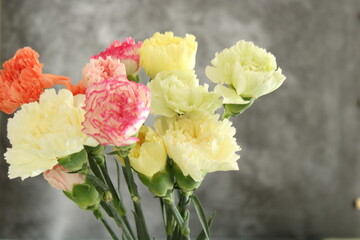 bunch of carnation flowers