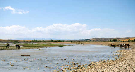 landscape with a river