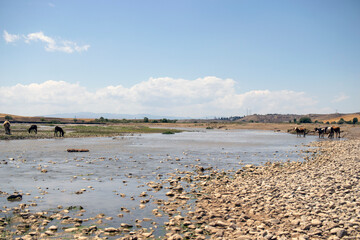 beach in the country