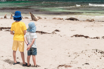 Kids watching sea lions resting on the beach at Seal Bay, Kangaroo Island, South Australia