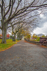 Fall path