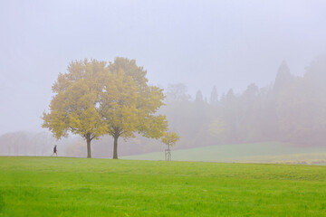 November