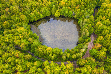 Leśne jezioro na Kaszubach w północnej Polsce