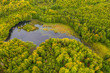 Leśne jezioro na Kaszubach w północnej Polsce - obrazy, fototapety, plakaty
