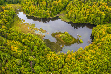 Leśne jezioro na Kaszubach w północnej Polsce