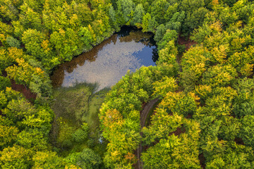 Leśne jezioro na Kaszubach w północnej Polsce © Janusz Lipiński