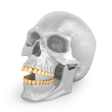 Silver skull with gold teeth.  3D render