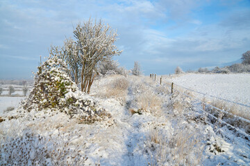 Overgrown farm track covered in soft snow