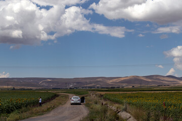landscape with clouds
