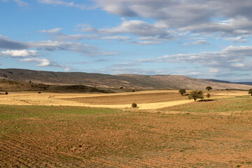 landscape with fields and blue sky