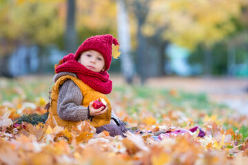 Happy child, playing with in autumn park on a sunny day, foliage and leaves all around him