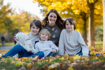 Fototapeta premium Happy children, playing with pet dog in autumn park on a sunny day