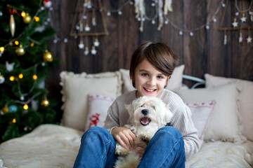 Happy child and pet dog, enjoying Christmas time together, celebrating