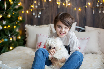 Happy child and pet dog, enjoying Christmas time together, celebrating