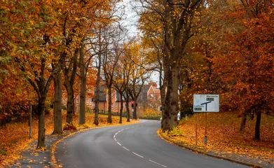 Fototapete Fallen an autumn road in Worcestershire   © JoeE Jackson