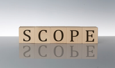 Obraz premium SCOPE concept, wooden word block on the grey background