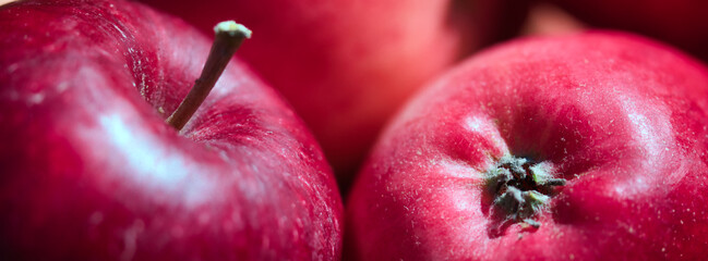 Red ripe and juicy apples detailed close up full frame ornamental fruit web banner background