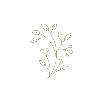 Monochrome linear cranberry lingonberry branch twig with leaves berries gardening farm icon vector