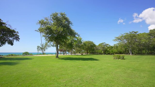 House residense near the sea. Great view on the ocean. Green grass. many tropical trees. Territory for rest and piece. Crystal clear sea.