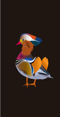 COLORFUL EXOTIC  BIRD