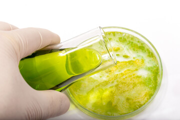 Flask for chemical experiments with green liquid in hand