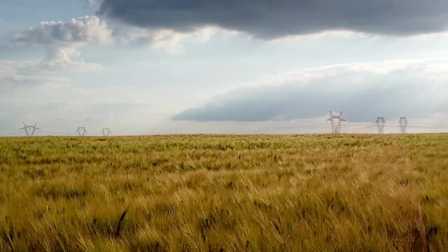 Slow motion pan left over corn field in a country side landscape with hight voltage line in background