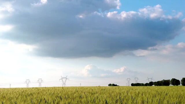Slow motion pan right over green corn field in a country side landscape with hight voltage line, and blue sky in background