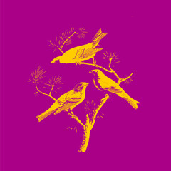birds on branches on a light pink background