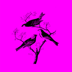 birds on branches on a pink background