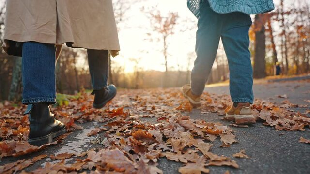 Unknown mom holding hand of little daughter walking in autumn park. Close up, slow motion. Back view. Tracking, low angle, dolly shot