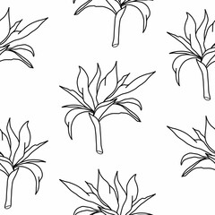 Seamless pattern black doodle strelitzia on a white background. For packaging, textiles, design