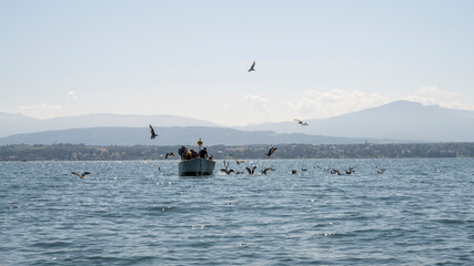 Fototapeta premium Pêcheurs du lac léman