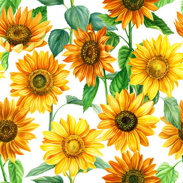 Sunflowers bouquet watercolor hand painted seamless pattern