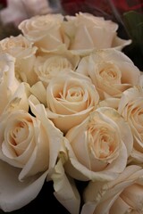 bouquet of white roses