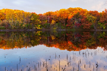 marthaler park autumn and pond reflections