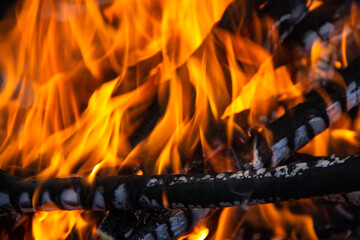 fire and ashes